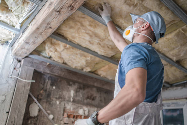 Best Cellulose Insulation in Garden City South, NY